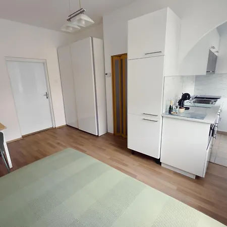 Cheerful In The Heart Of פראג